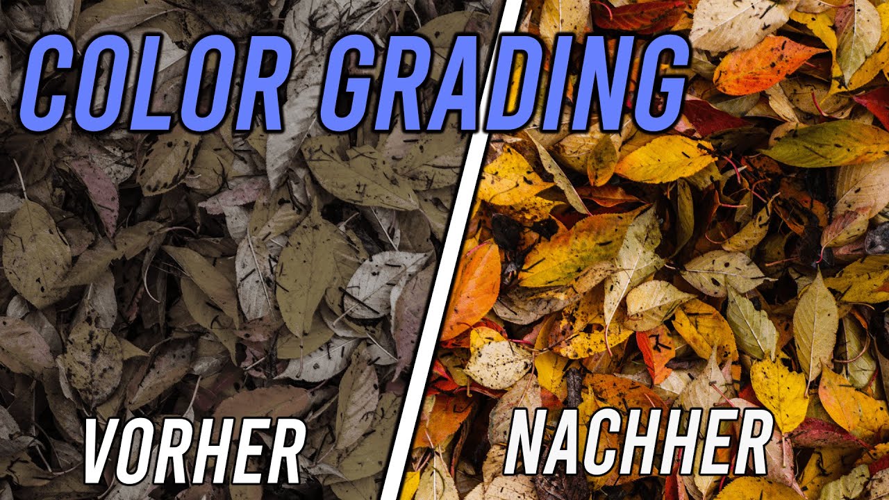 Color Grading in Shotcut (Anfänger) // RichardFilmt