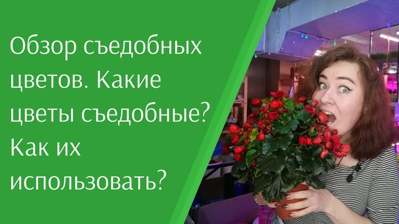 Обзор съедобных цветов. Какие цветы съедобные? Как использовать съедобные цветы? #съедобныецветы