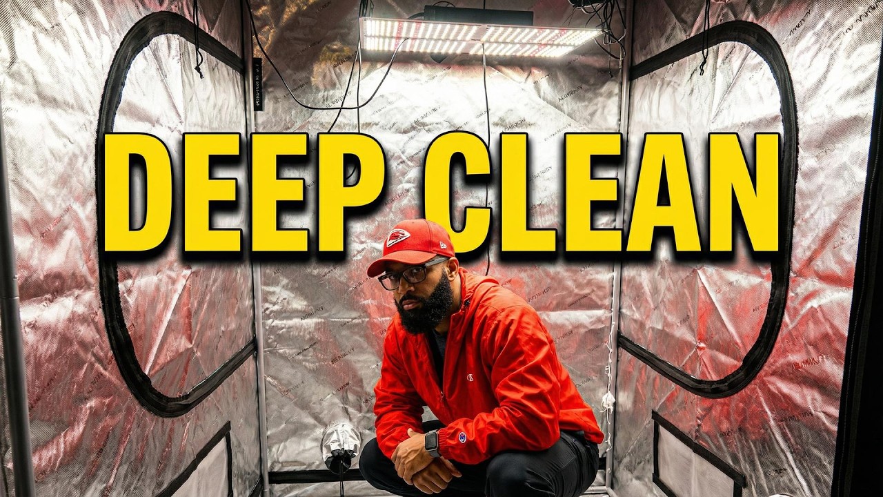 Deep Clean Your Tent Before Your Next Grow (Living Soil Method)