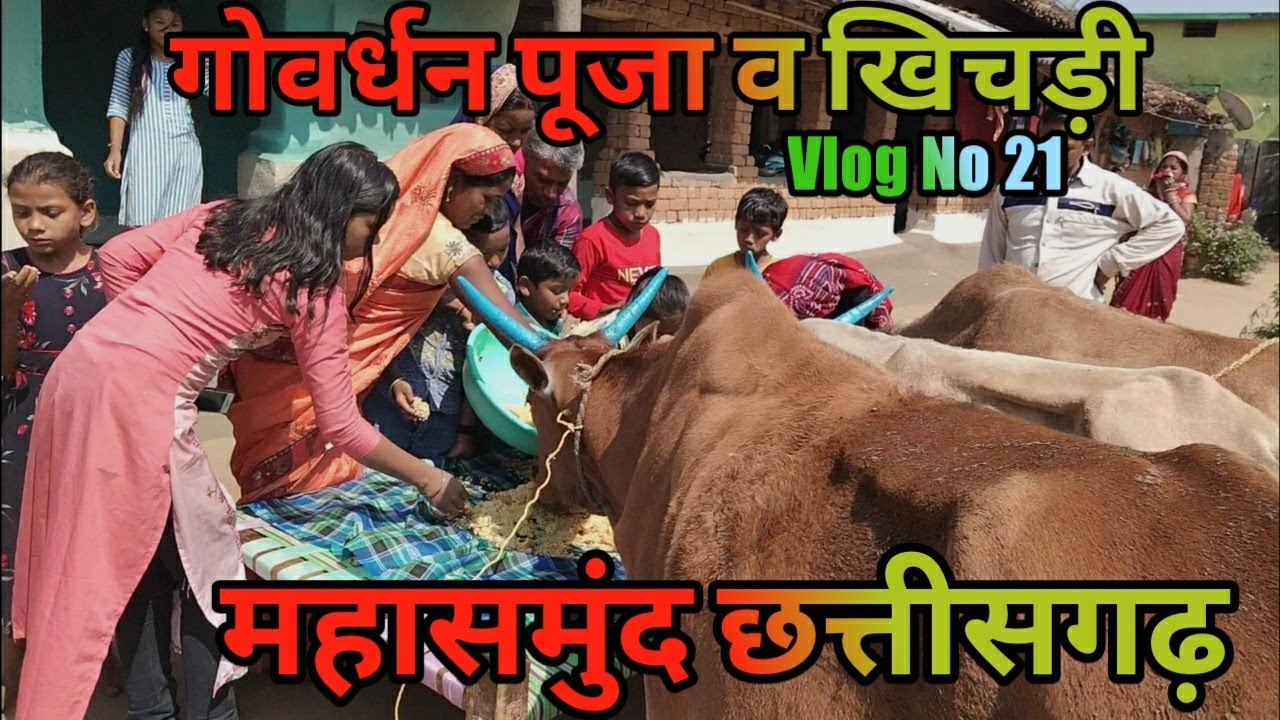 गोवर्धन पूजा छत्तीसगढ़ ll Govardhan Pooja Aur Khichdi Chhattisgarh  #govardhanpooja #govardhan