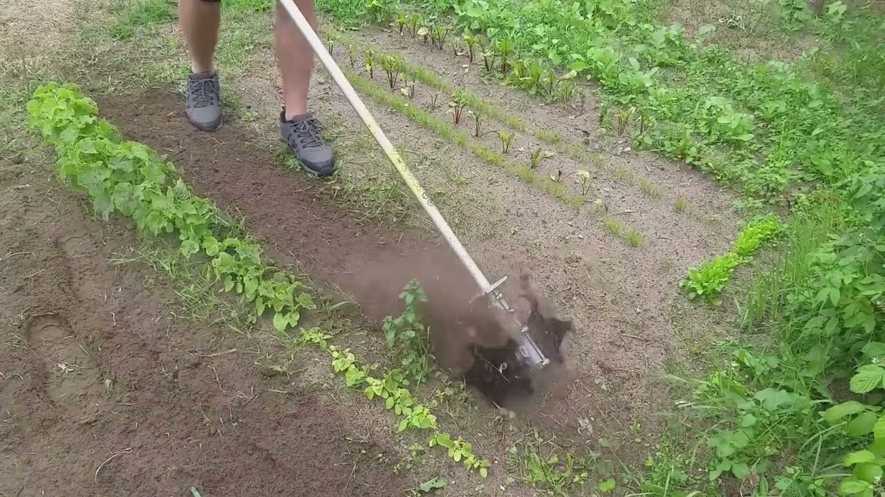 Prelepa bašta bez muke: kako lako obraditi svoju baštu pomoću ovog priključka - freza za trimer