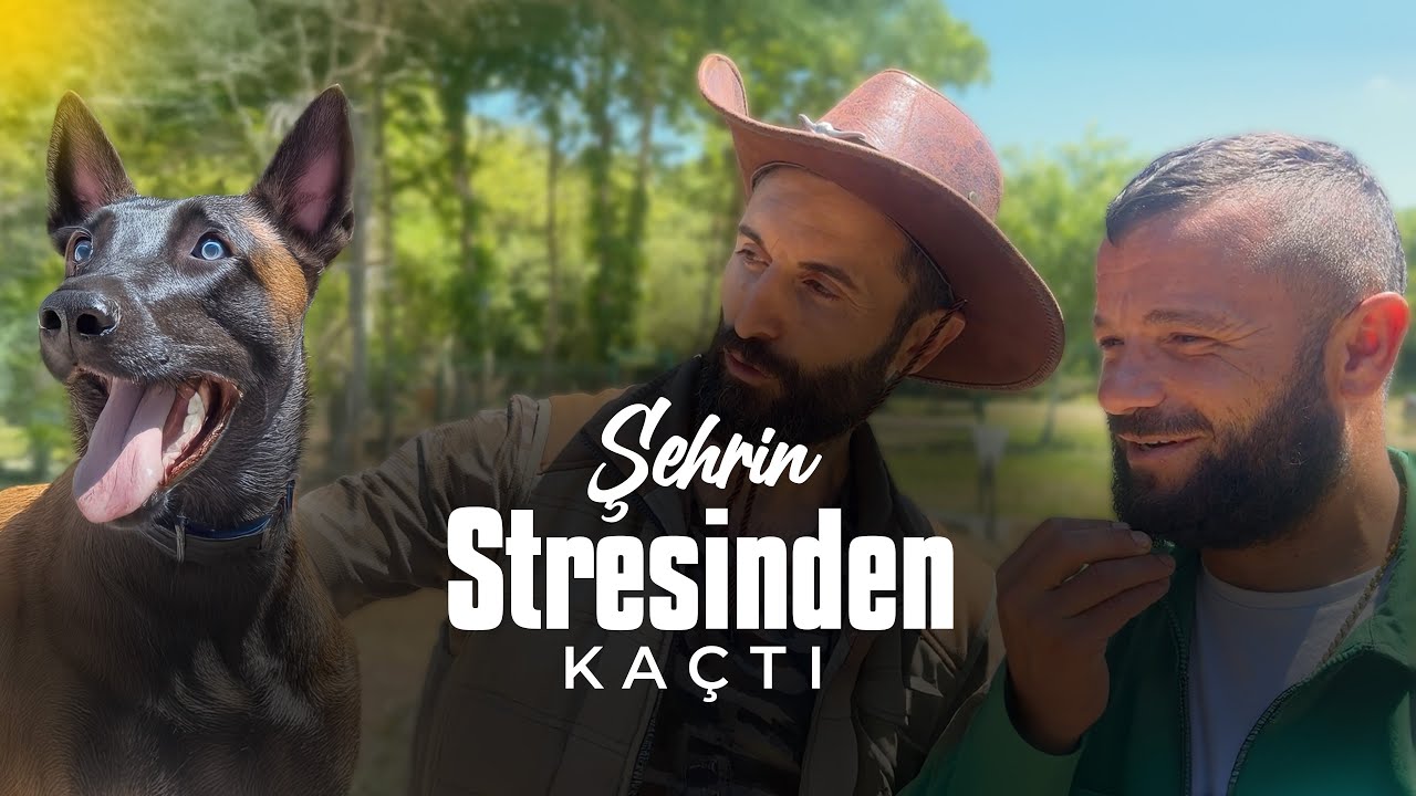 Şehrin Stresinden Kaçtı | Doğadaki Yeni Hayatında Pişman Mı?