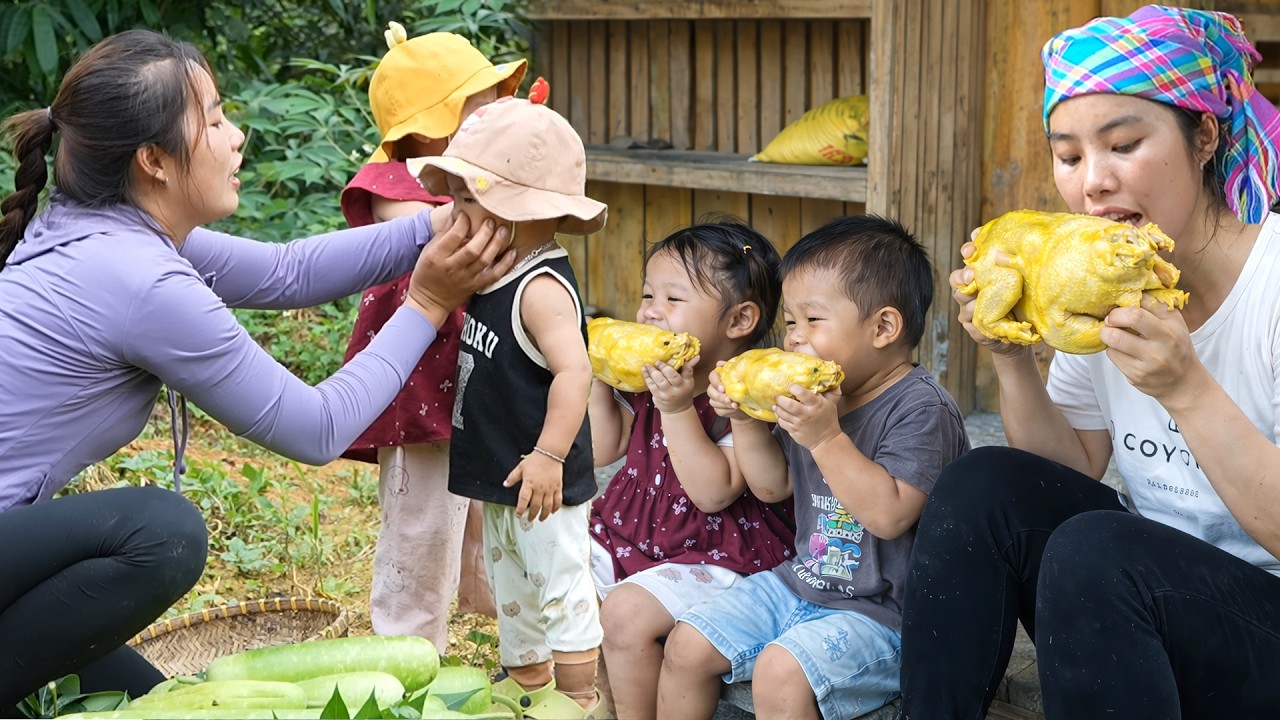 Giant winter melon harvesting process – Cooking delicious duck meat for my kids Nhi & Khoi