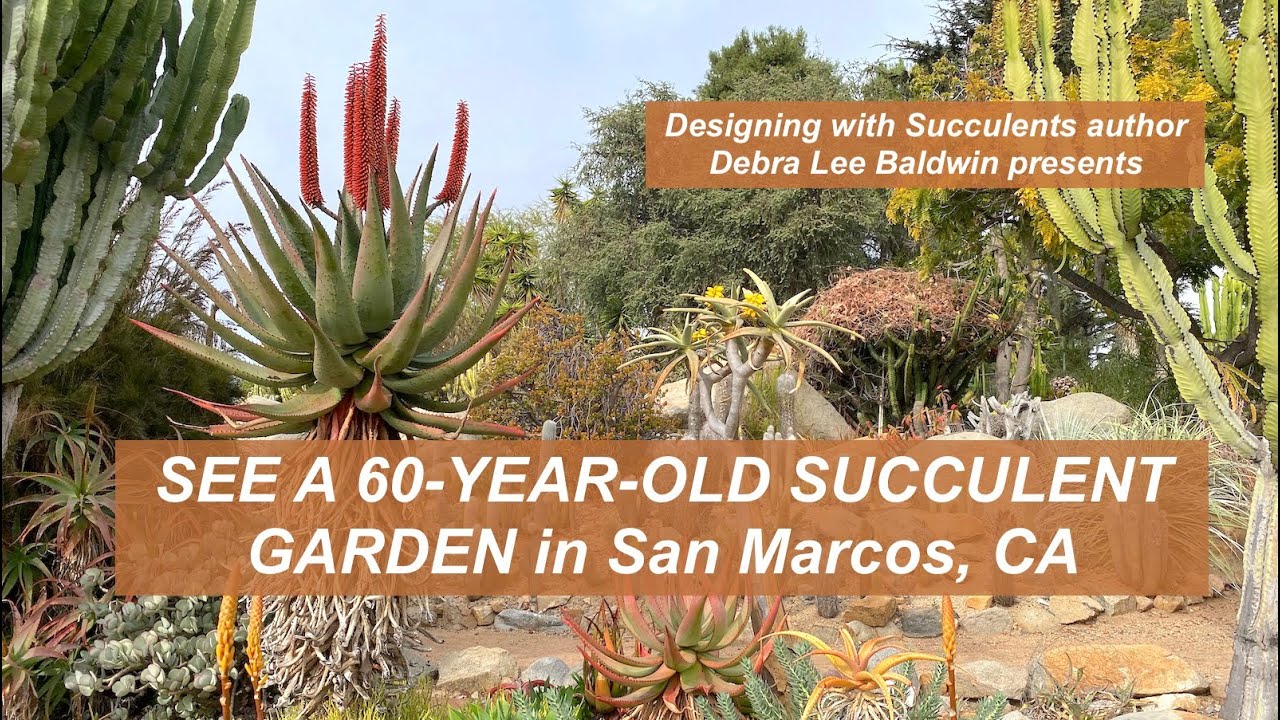 Sixty-Year-Old Succulent Botanic Garden