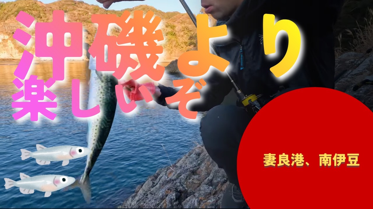 南伊豆、妻良の沖磯２（20251228 mera izu）