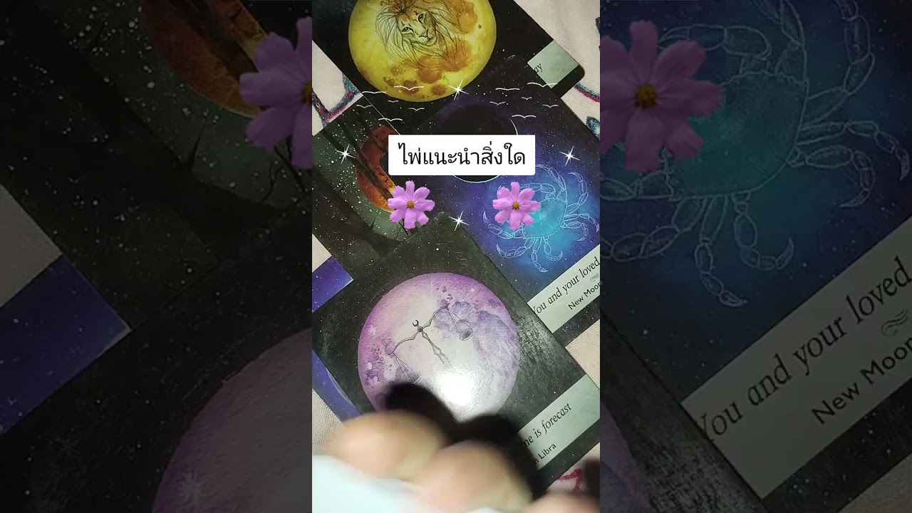 ไพ่แนะนำสิ่งใด