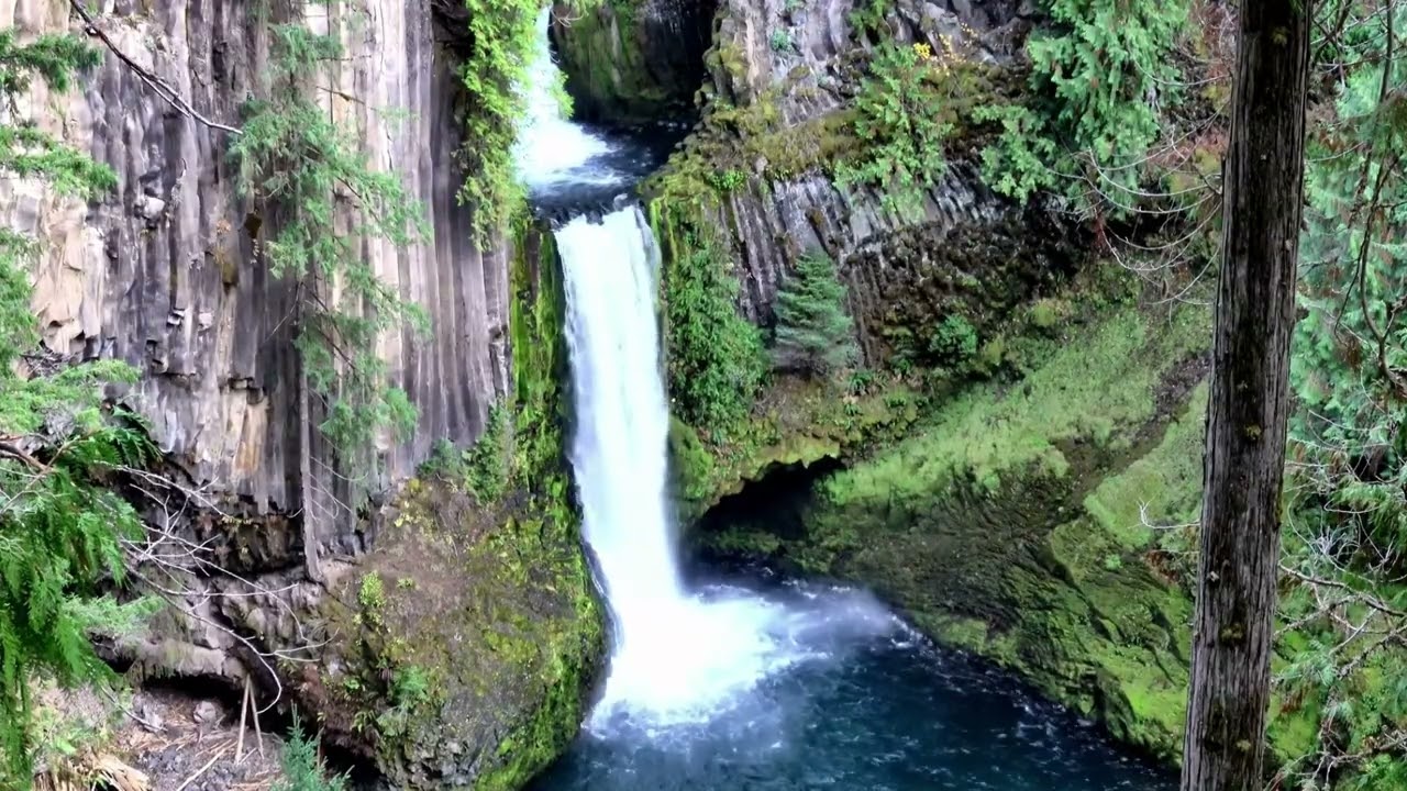 Nature White Noise: 1 Hour of Peaceful Waterfall Ambience (Toketee Falls) 🌲