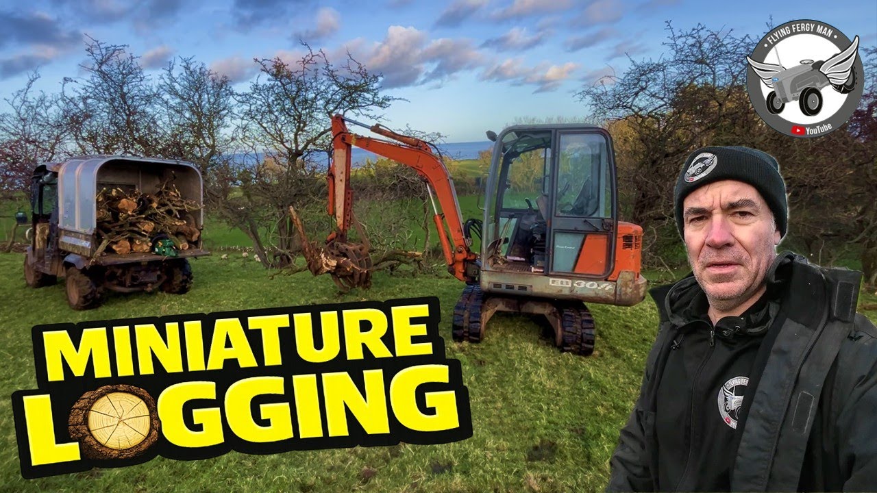 SMALL SCALE LOGGING & SOME ESSENTIAL FARM MAINTENANCE