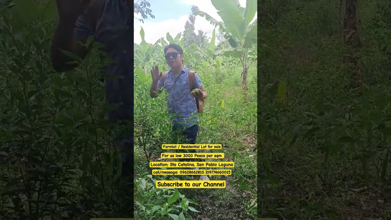 Farm lot for sale at Sta Catalina San Pablo Laguna for as low as 3000 pesos per sqm #farming #vlog