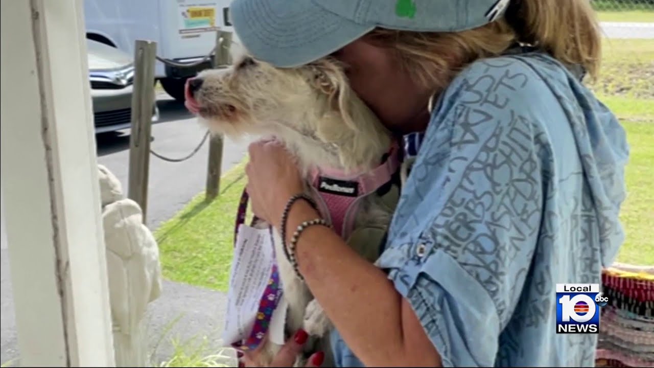 Miami-Dade shelter sends dog out of state, turns away adopter due to policy