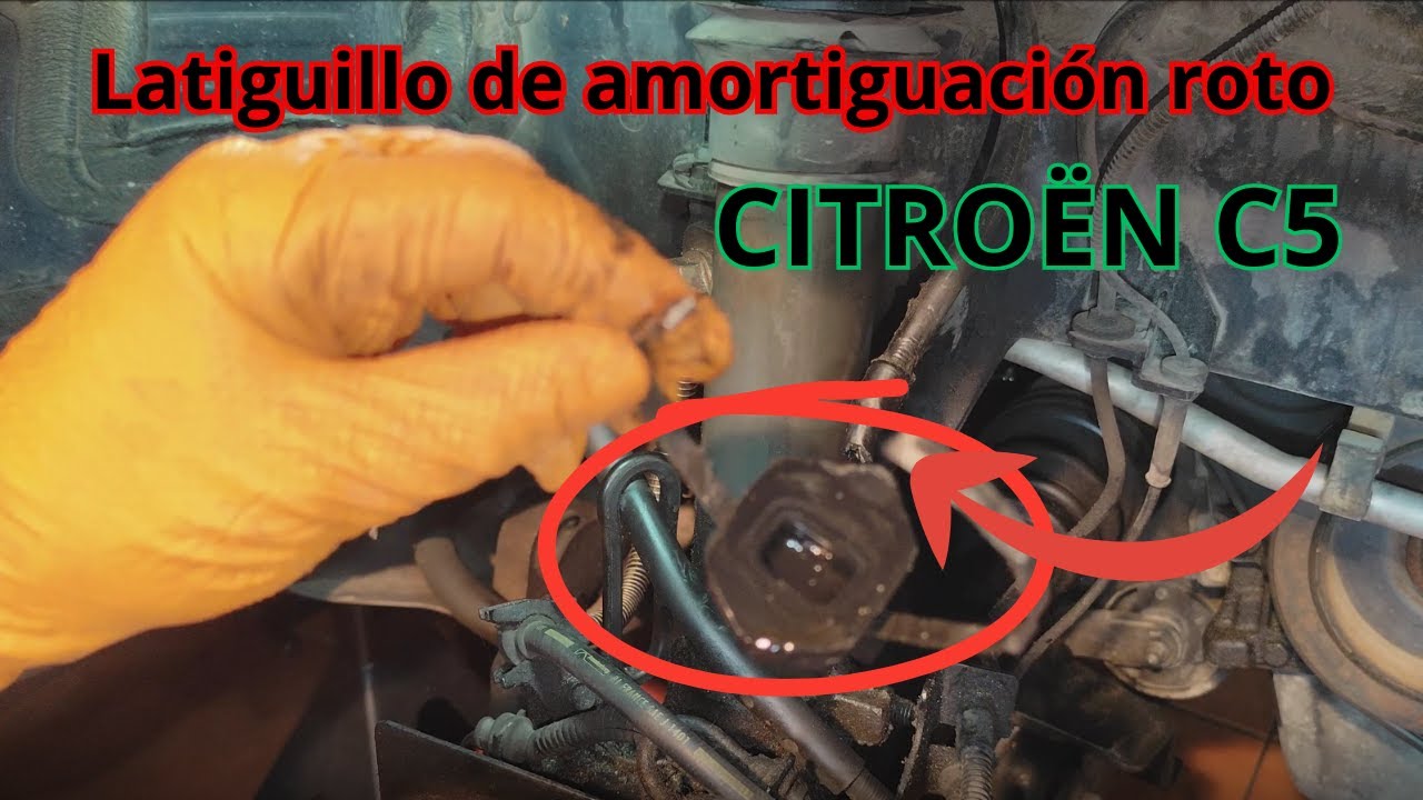 Cambio latiguillo retorno amortiguador Citroën C5