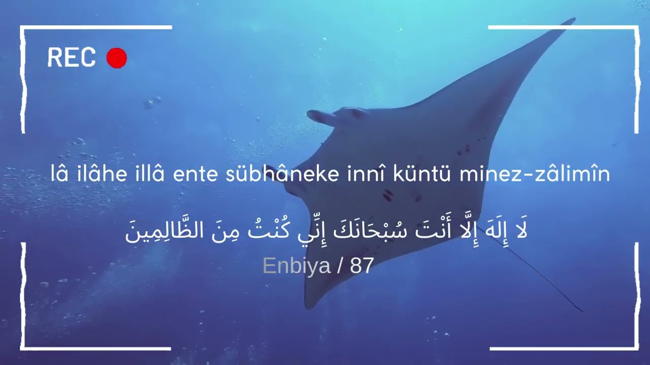 Lâ ilâhe illâ ente sübhâneke innî küntü minez-zâlimîn’ | Hz Yunus'un Sırlı Duası Zikri 100 defa