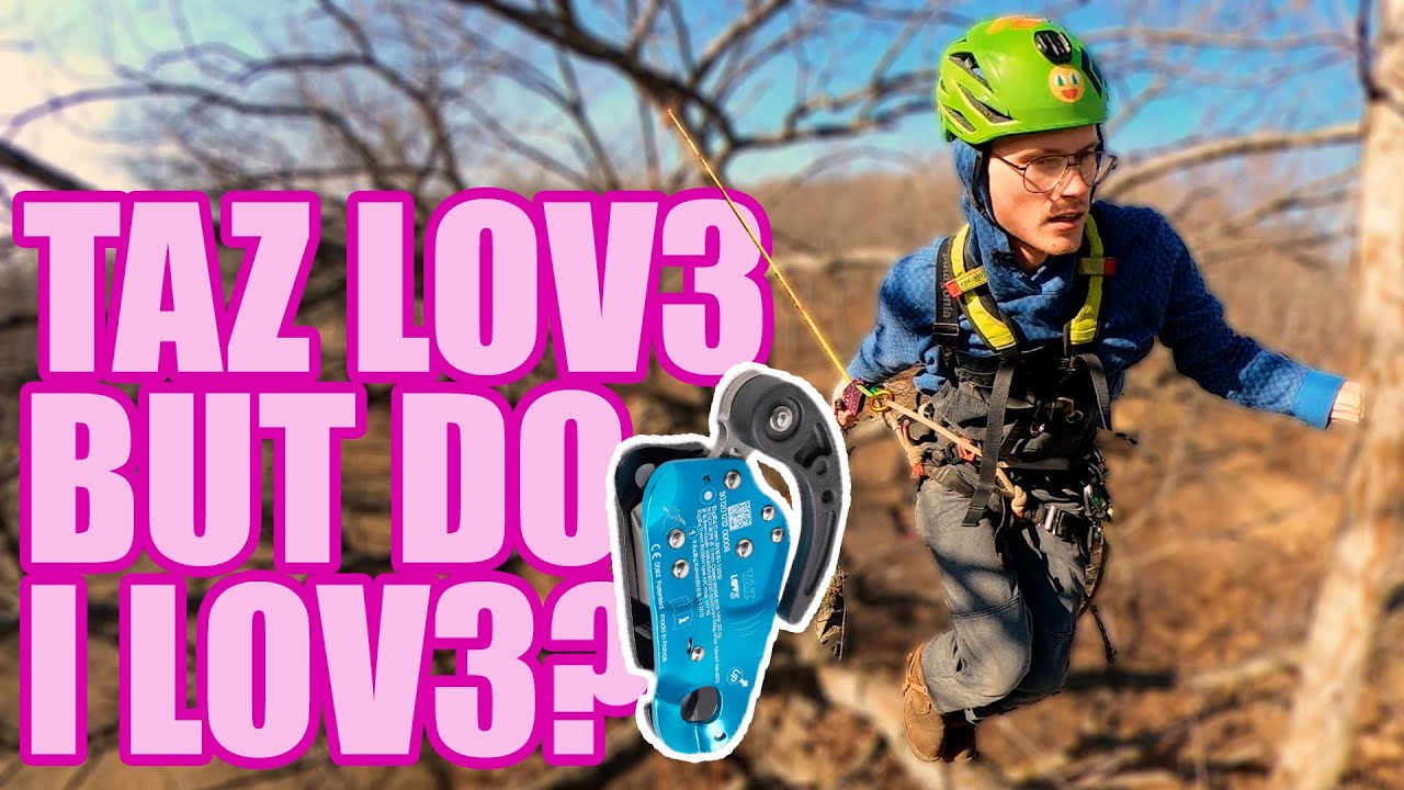 TAZ LOV 3 Review