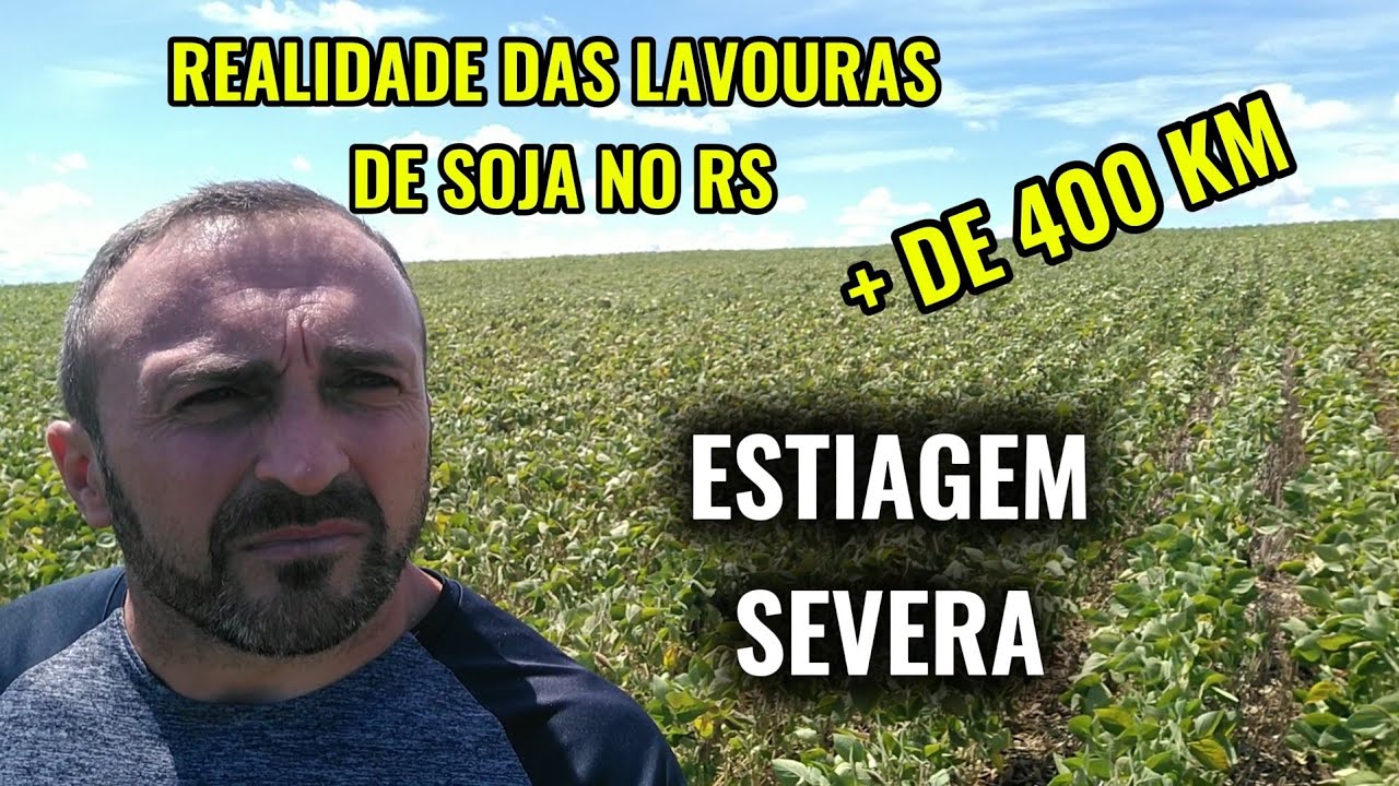 🌱 ESTIAGEM: PERCORRI MAIS DE 400KM EM REGIÃO DE PRODUÇÃO DE GRÃOS DO RS - SITUAÇÃO DAS LAVOURAS 