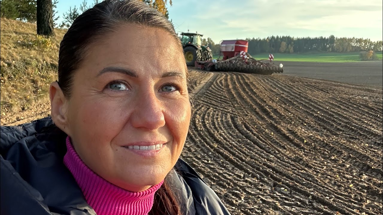 Czy urośnie pszenżyto siane w listopadzie ? 🧑🏻‍🌾👩‍🌾👨‍🌾🌾