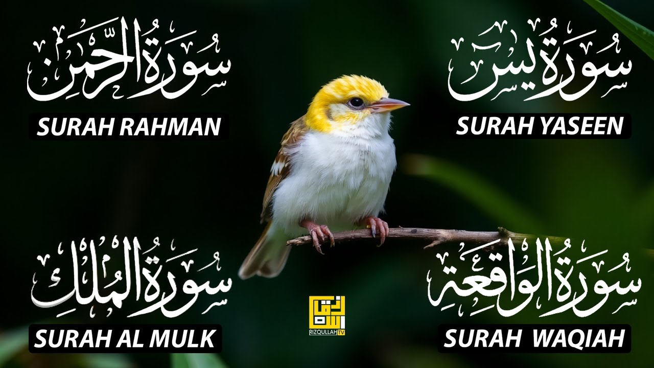 Magical Recitation Surah Yaseen (Yasin) | Surah Rahman | Surah Waqiah | Surah Mulk EP114