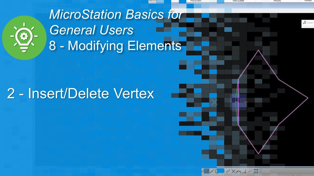 2 Insert/Delete Vertex