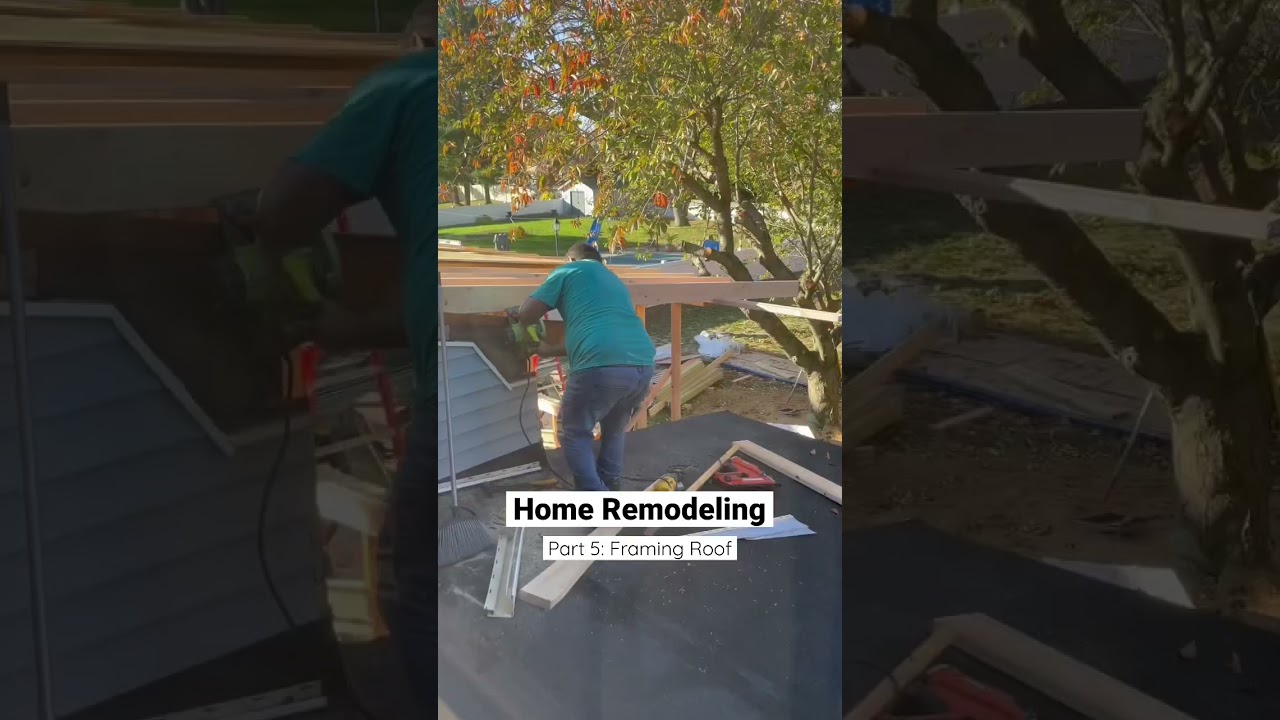 Kitchen Remodel Part 5: Framing Roof