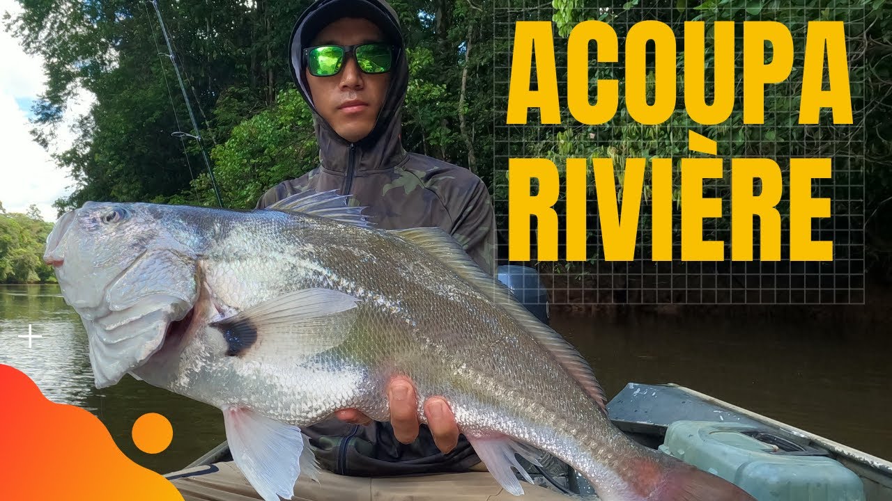Pêche Guyane - Acoupa Rivière & Poussissi au vif et au jig