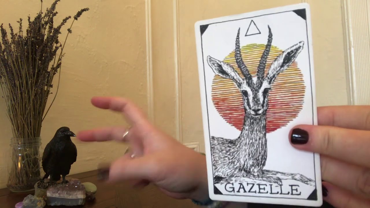 AQUARIUS- HAVING WHAT YOU WANT! (DEC GEN)