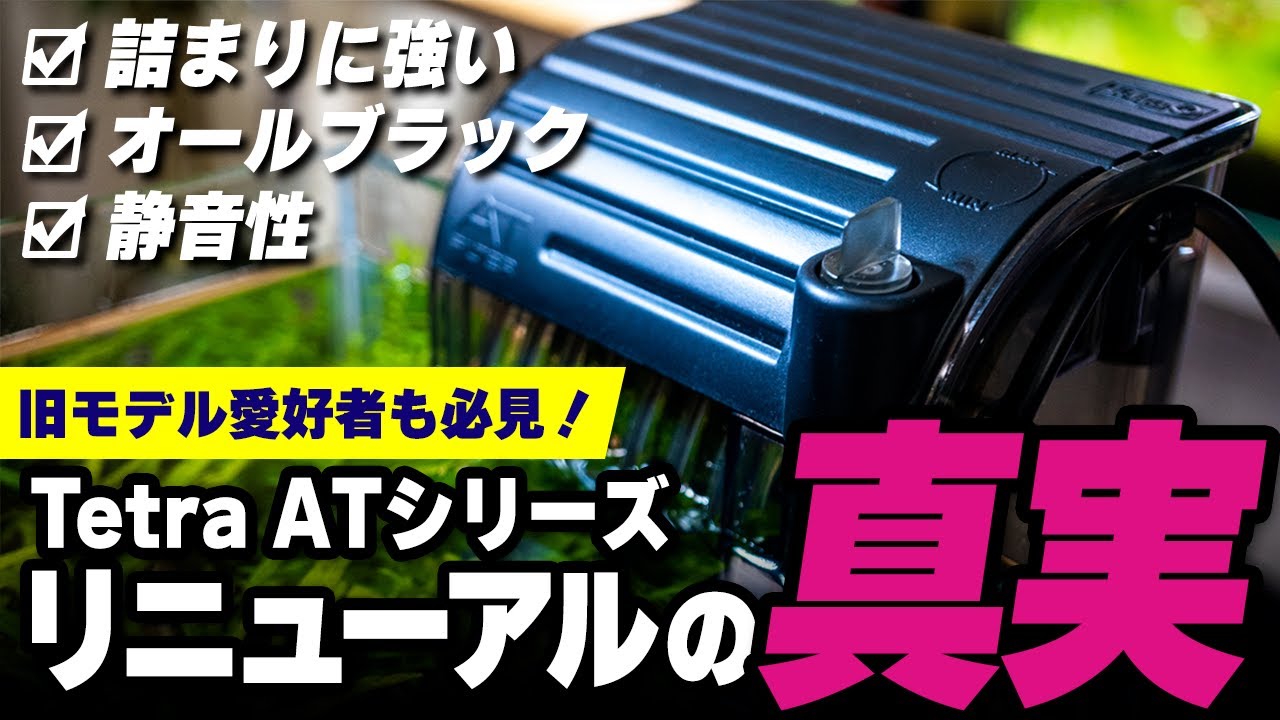【2023最新製品】テトラ外掛けフィルター 問い合わせて判明した事実や驚愕の静音性！商品の良し悪しを徹底レビュー #アクアリウム #熱帯魚 【ビバアクア】