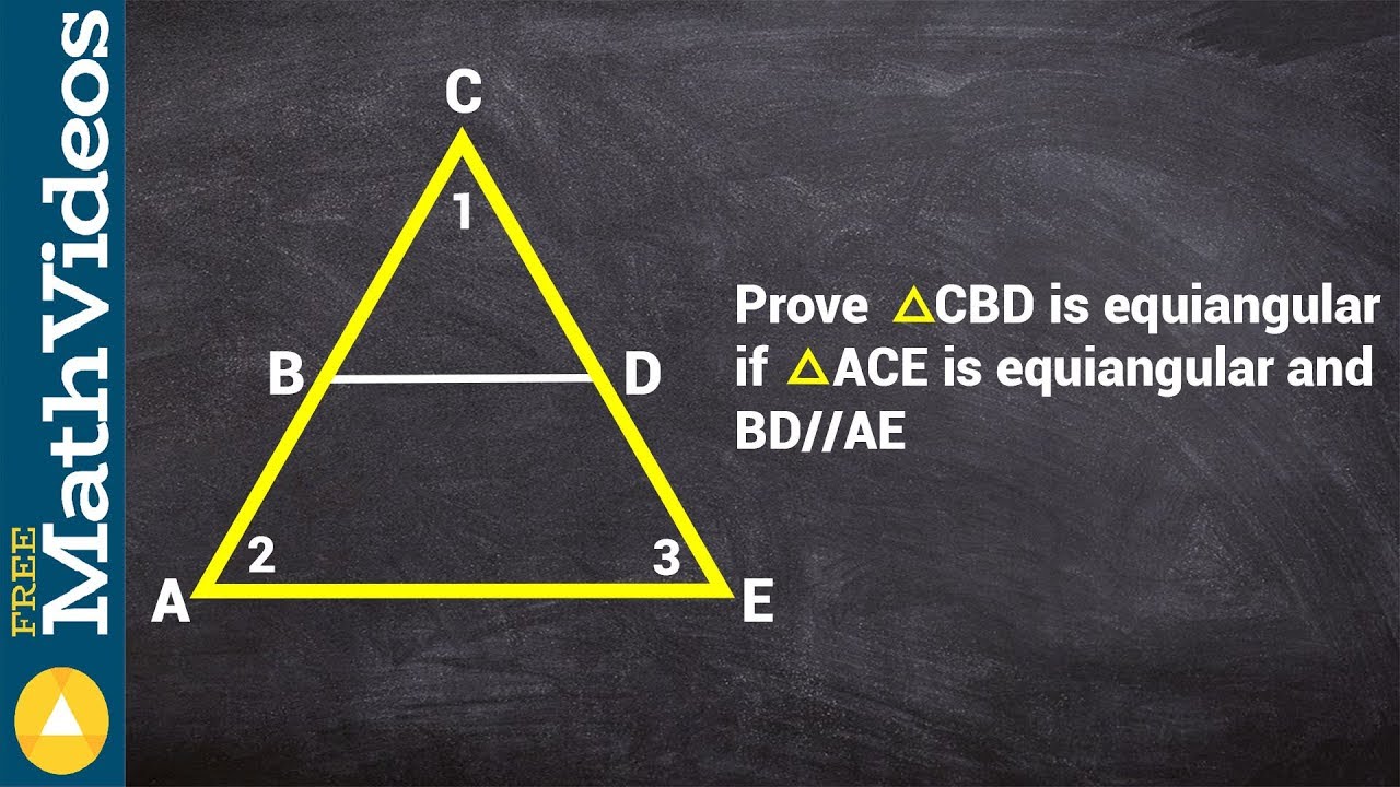 Writing a proof for equiangular angles within each other