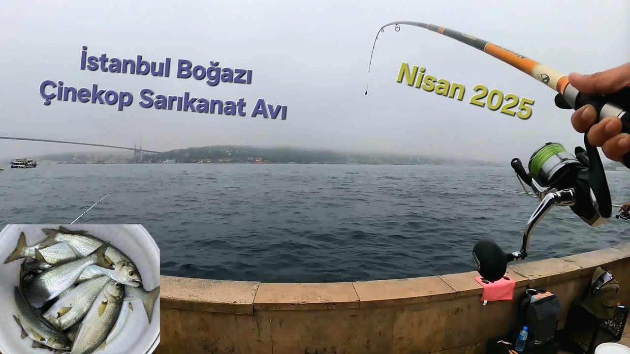SİS PUS - NİSAN'DA SARIKANAT ÇİNEKOP - İSTANBUL BOĞAZI BALIK AVI