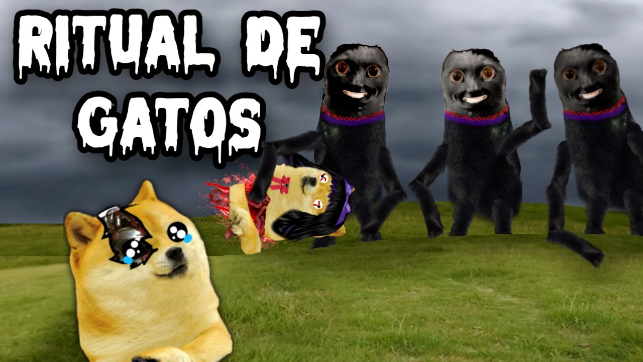 El RITUAL DE LOS GATOS EN EL TECHO, NO LOS MIRES! - Hilos con cheems