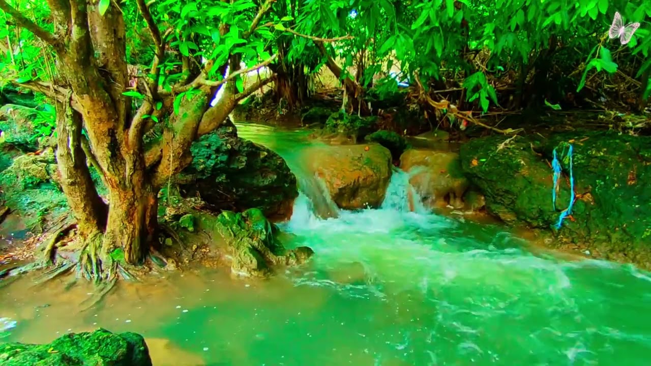 Relaxing Music For Stress Relief, Anxiety and Depressive States🌲Heal Mind, Body and Soul 67