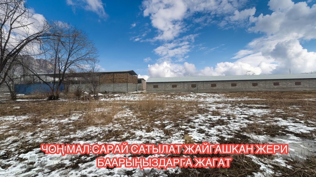МАЛ САРАЙ САТЫЛАТ ЛЕСНОЕ 2025