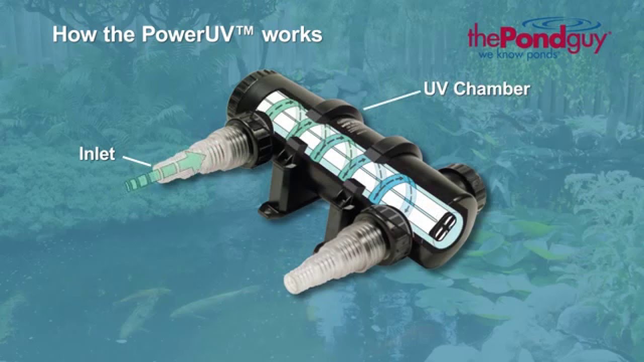The Pond Guy® Product Video - PowerUV™ UV Clarifier - How to Get Rid of Green Pond Water