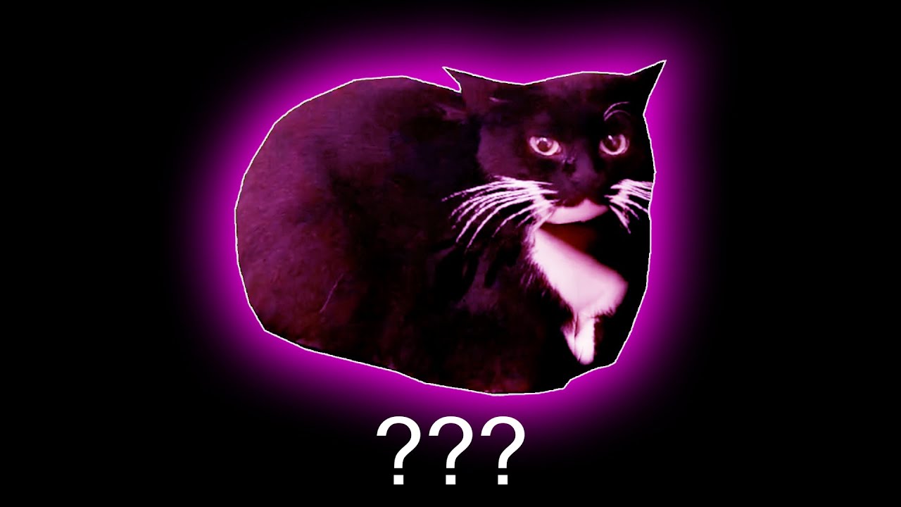 ❗Maxwell The Cat Sound Variations in 30 Seconds❗