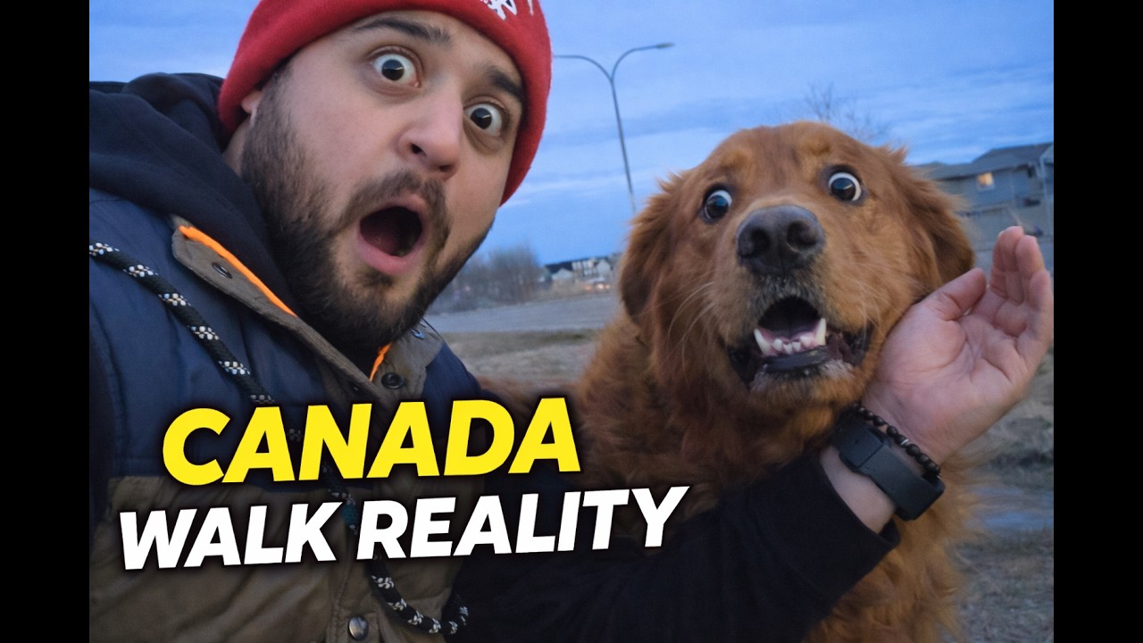 Canada Walk Reality 🇨🇦 | Road Etiquette, Dogs & Police System Samjho