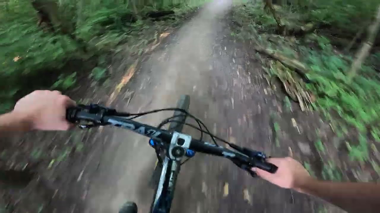 Palos Mountain Biking Trails 3 Ravines Down