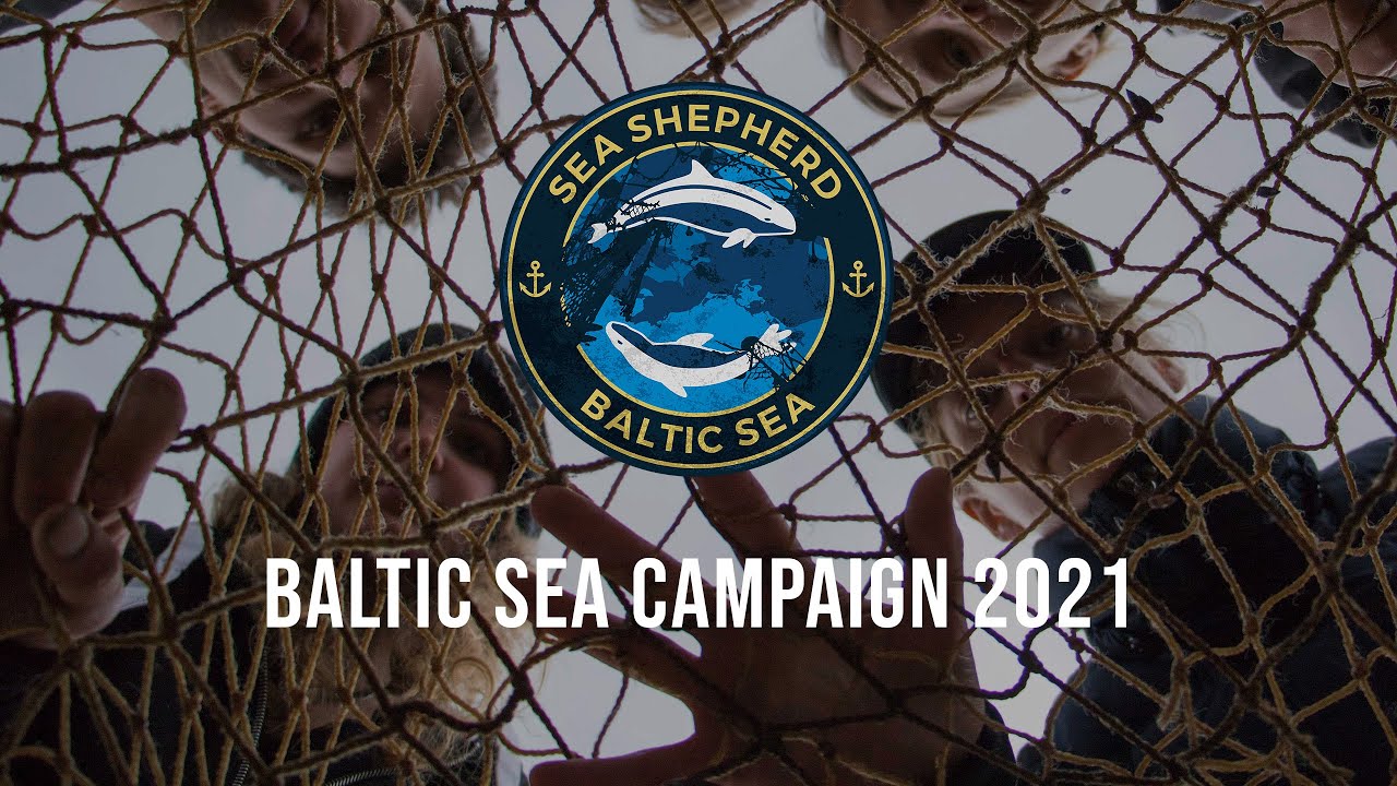Baltic Sea Campaign 2021 | Recovery of Ghost nets in the Baltic Sea | SEA SHEPHERD