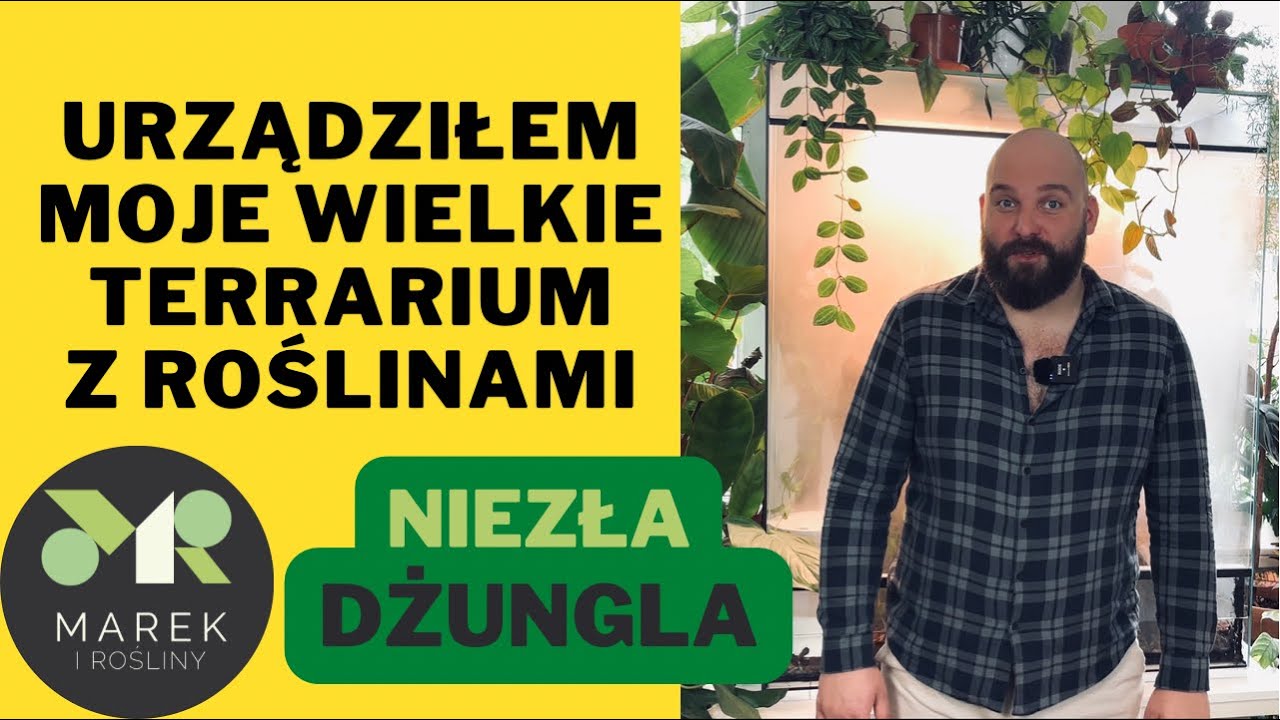 Urządziłem moje wielkie terrarium pełne roślin!