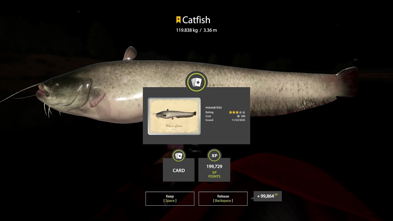 Russian Fishing 4 Trophy Catfish