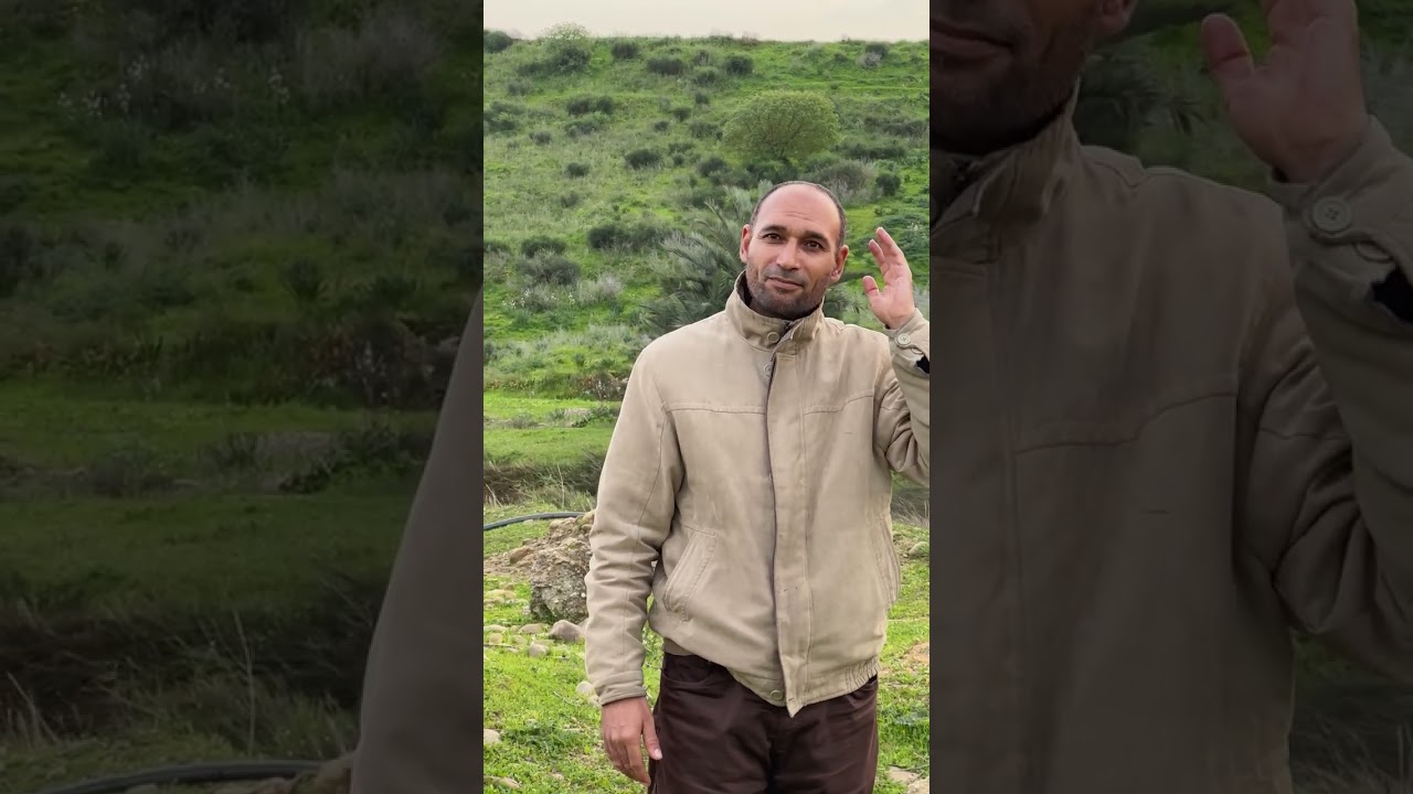 بغيت نتعلم التجويد وما لقيتش الوقت