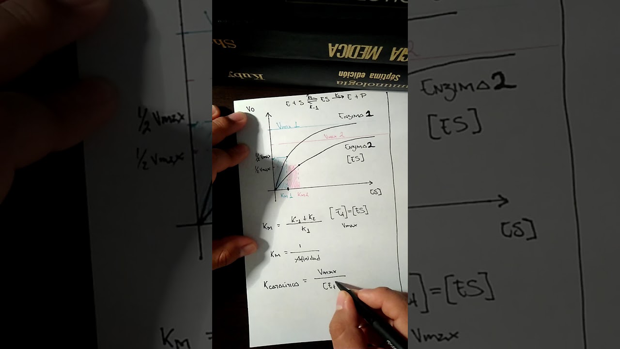 Cinética enzimática 4  Constante de afinidad, catalítica y de especificidad
