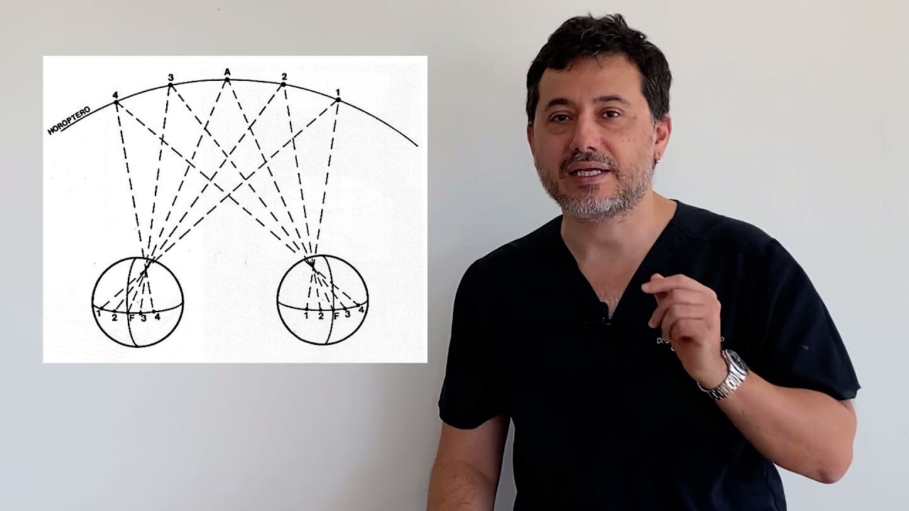 Sensorialidad