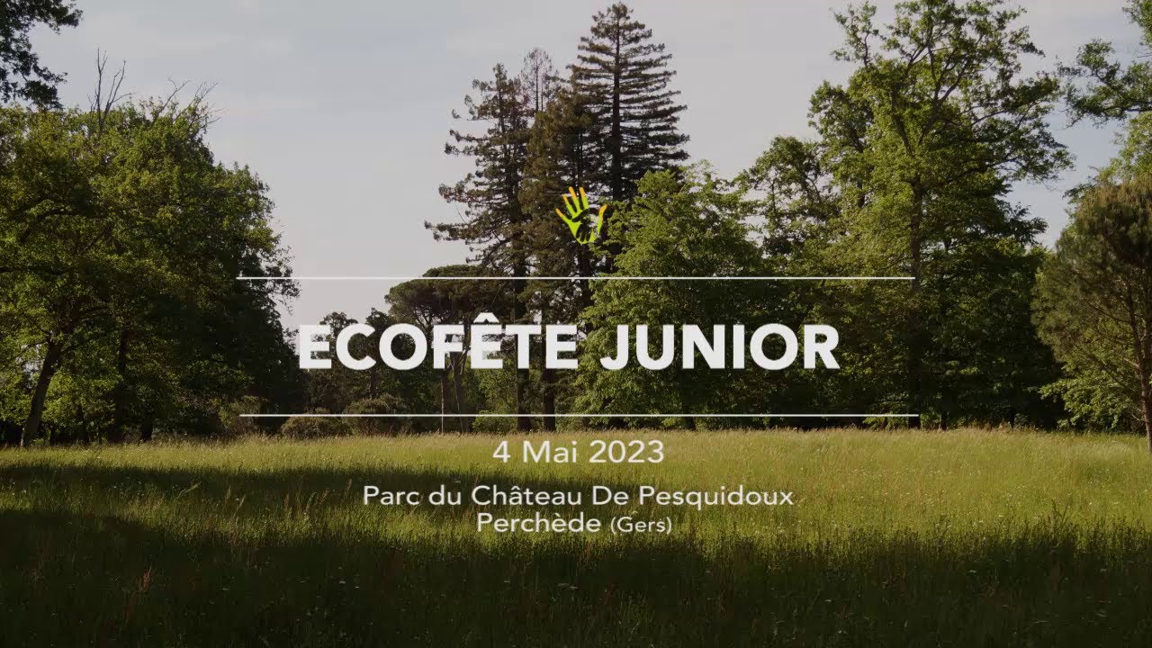 ECOFETE JUNIOR 2023