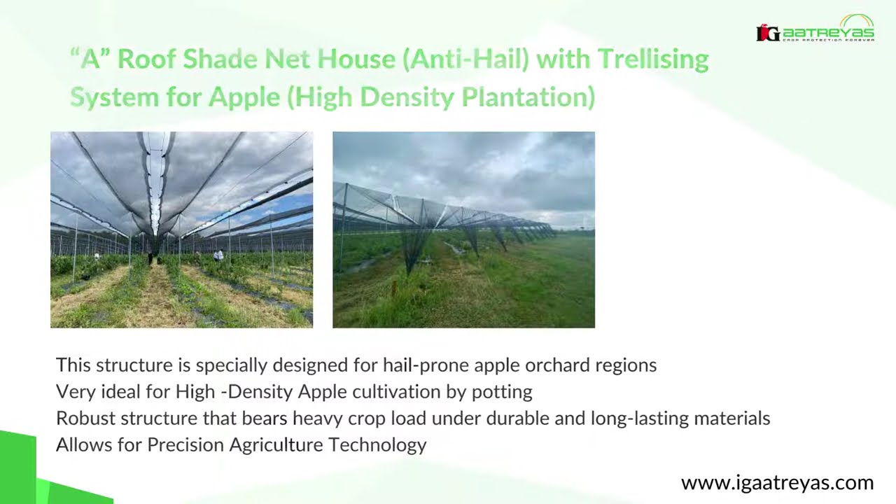 Product No - 14 - &ldquo;A&rdquo; Roof Shade Net House (Anti-Rain) with Trellising System for Apple