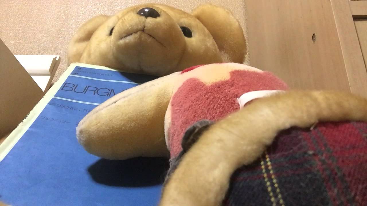 ブルグミュラー別れ独学最後のアップ  kolg LP380