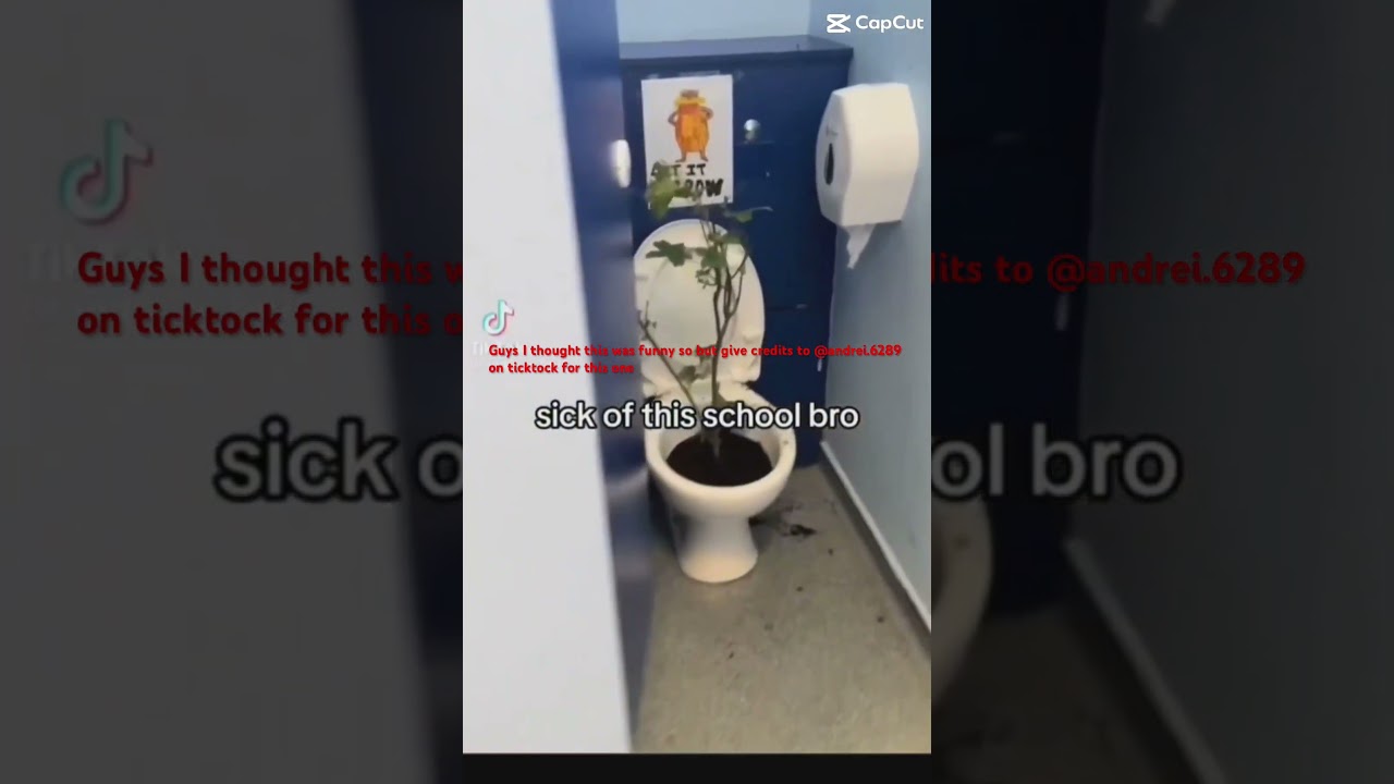LET IT GROW #memes #funny #lorax #helpearth