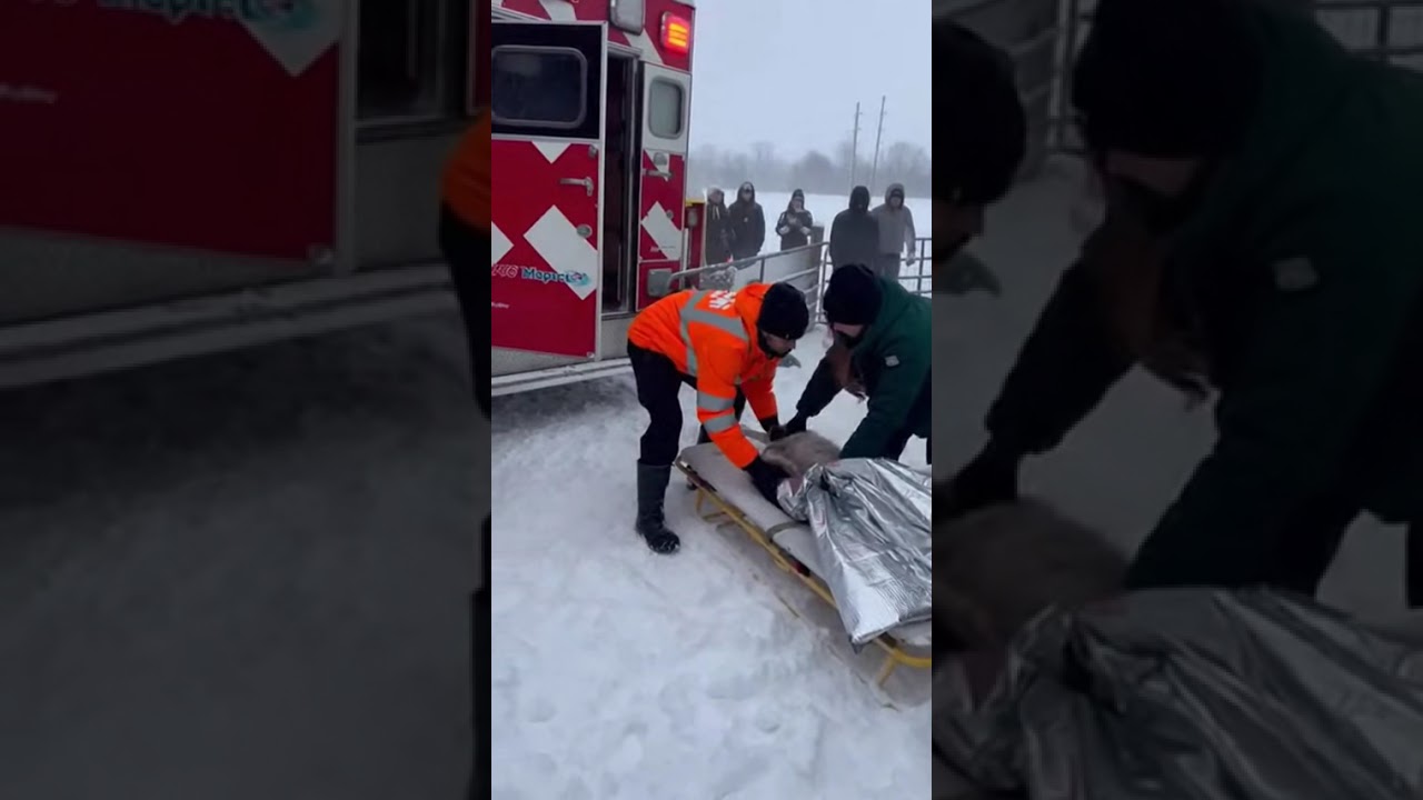 Caught on Camera: Incredible Rescue During Heavy Snowfall 