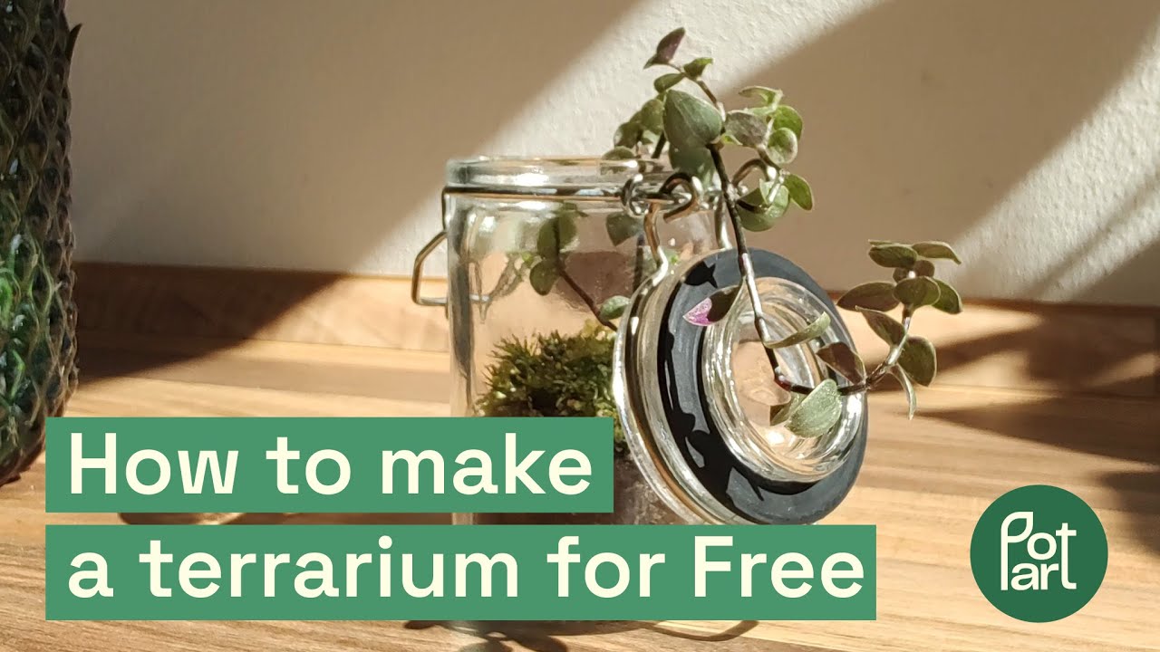Make a TERRARIUM is EASY - tutorial 3 minutes