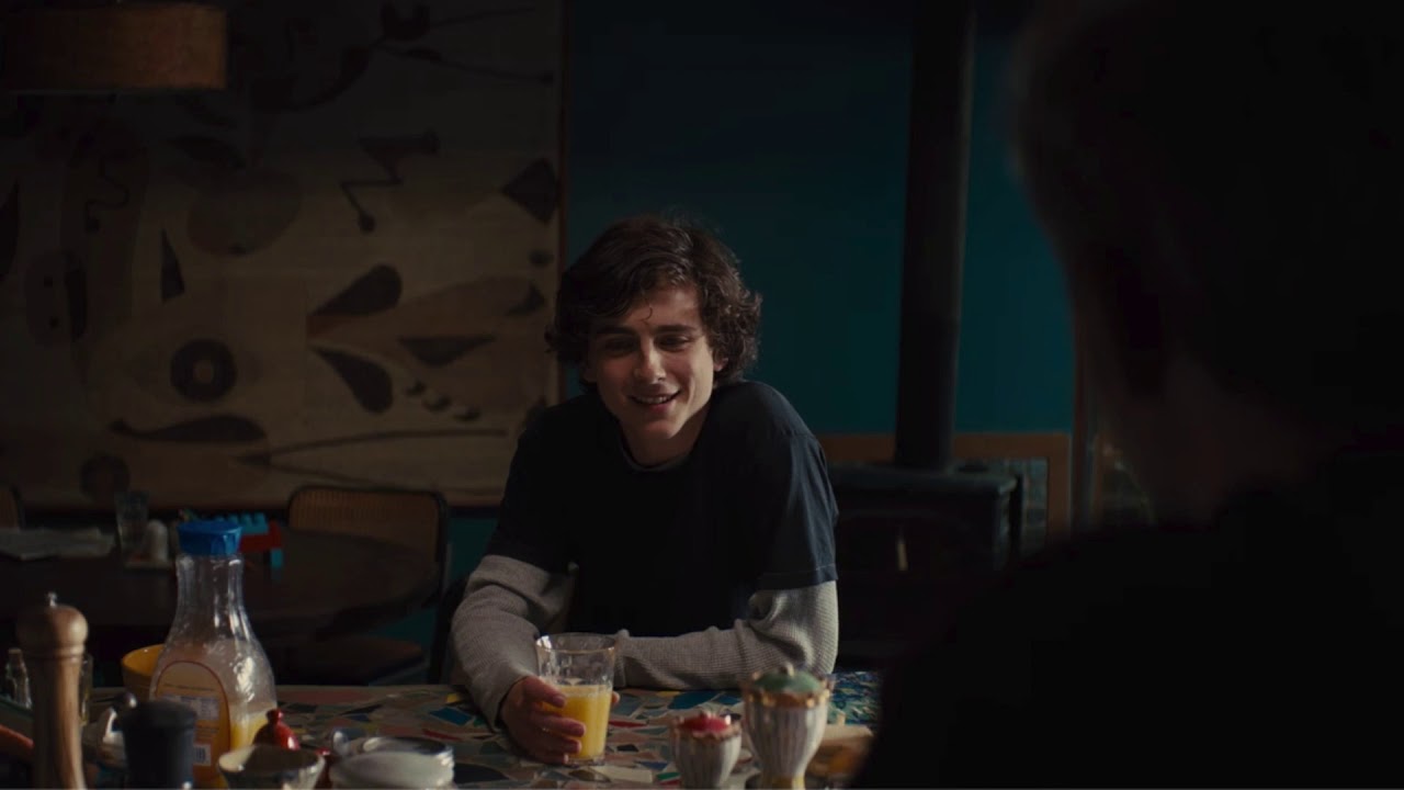 Timoth&eacute;e Chalamet steals little brother's money in Beautiful Boy