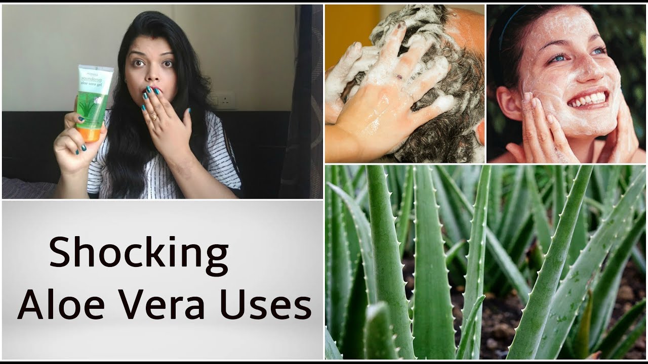TOP USES OF ALOE VERA GEL FOR SUMMERS | BENEFITS FOR SKIN & HAIR । एलोवेरा के फायदे
