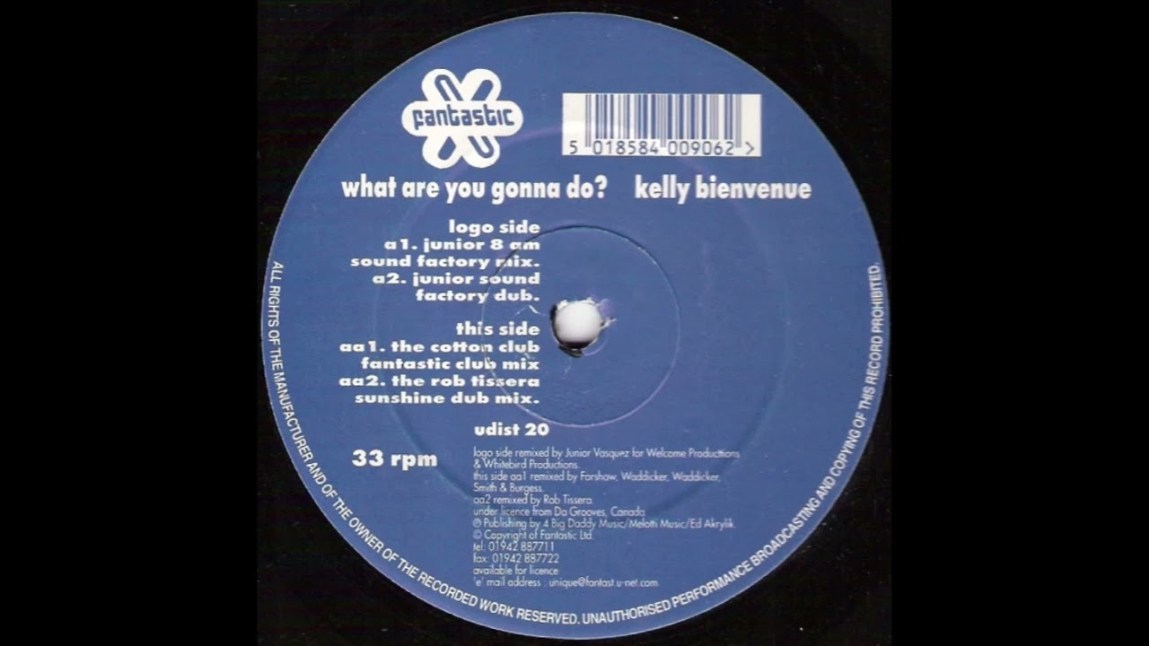 What Are You Gonna Do (Junior's Sound Factory Dub) - Kelly Bienvenue