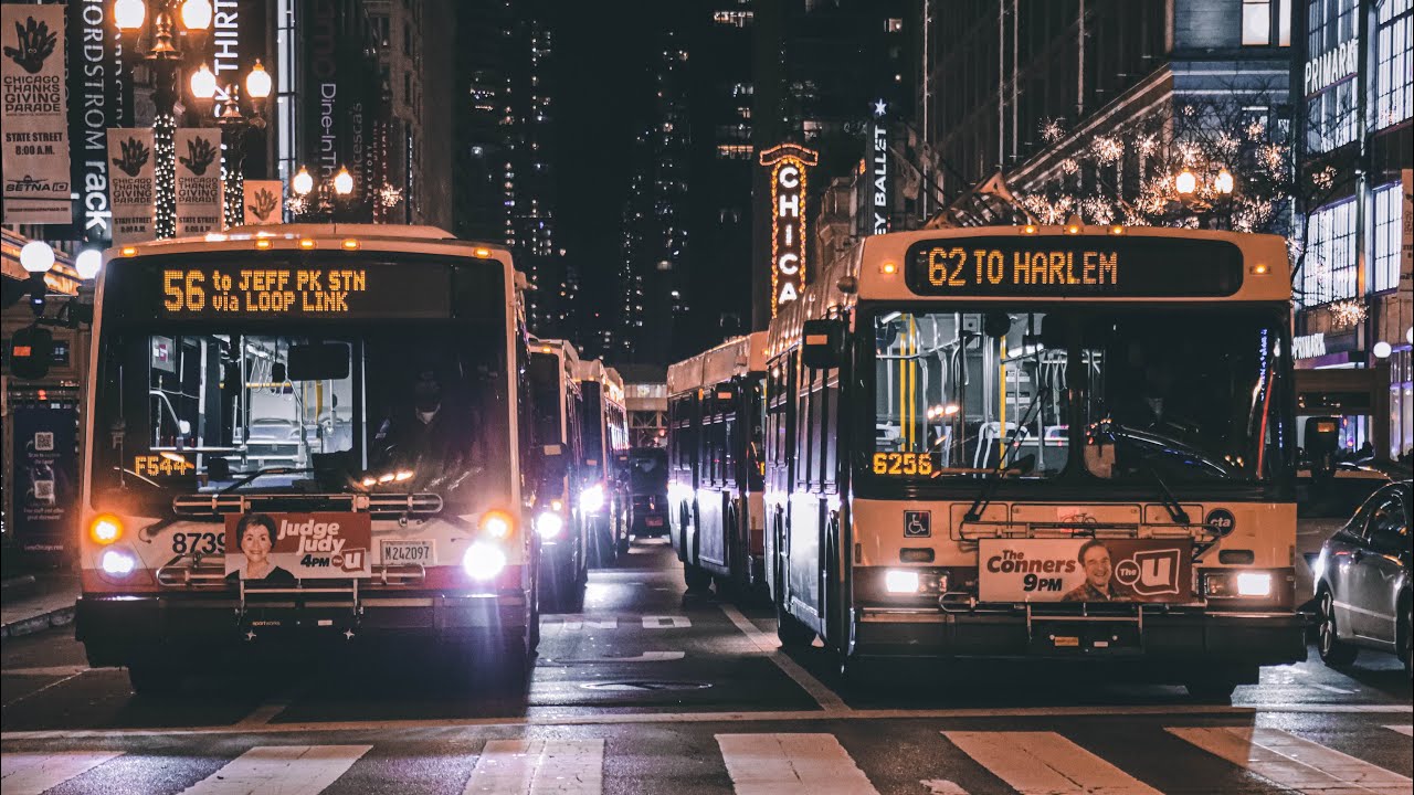 CTA Buses at Various Locations (October/November 2024)